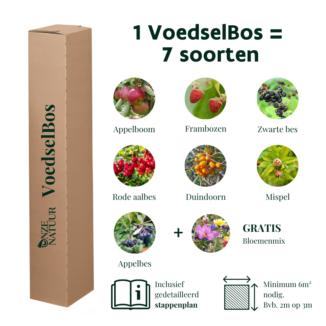 VoedselBos (door Onze Natuur)