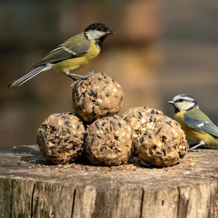 30 Vetbollen in hersluitbare doos, Mezenbollen zonder net