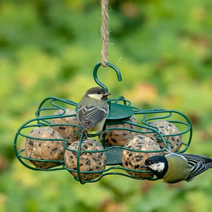 30 Vetbollen in hersluitbare doos, Mezenbollen zonder net