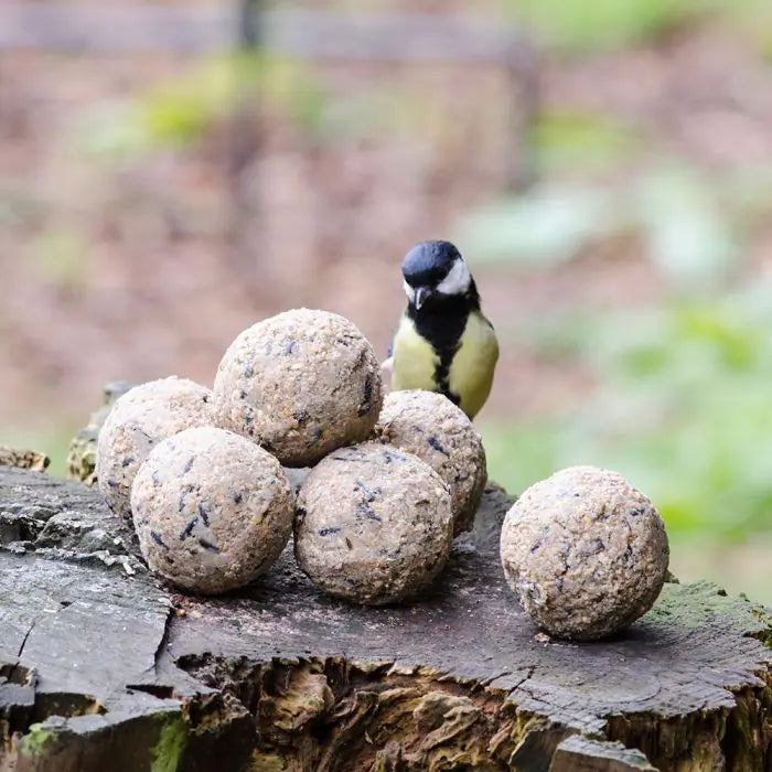 6 Vetbollen Voor Vogels, Mezenbollen zonder net