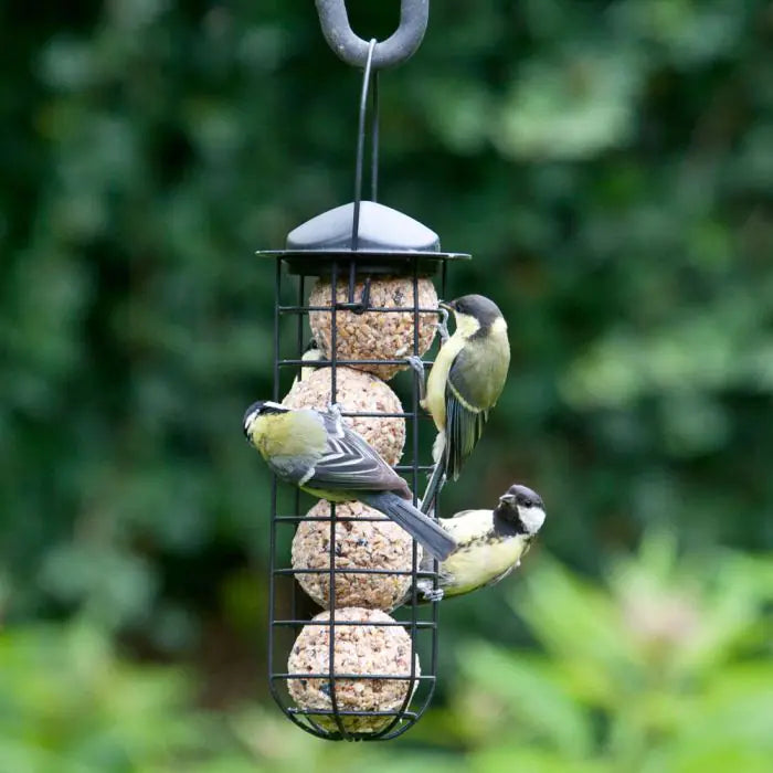 6 Vetbollen Voor Vogels, Mezenbollen zonder net