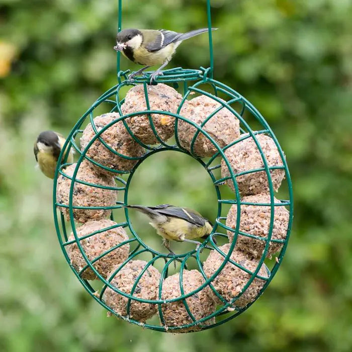 6 Vetbollen Voor Vogels met insecten, Mezenbollen zonder net