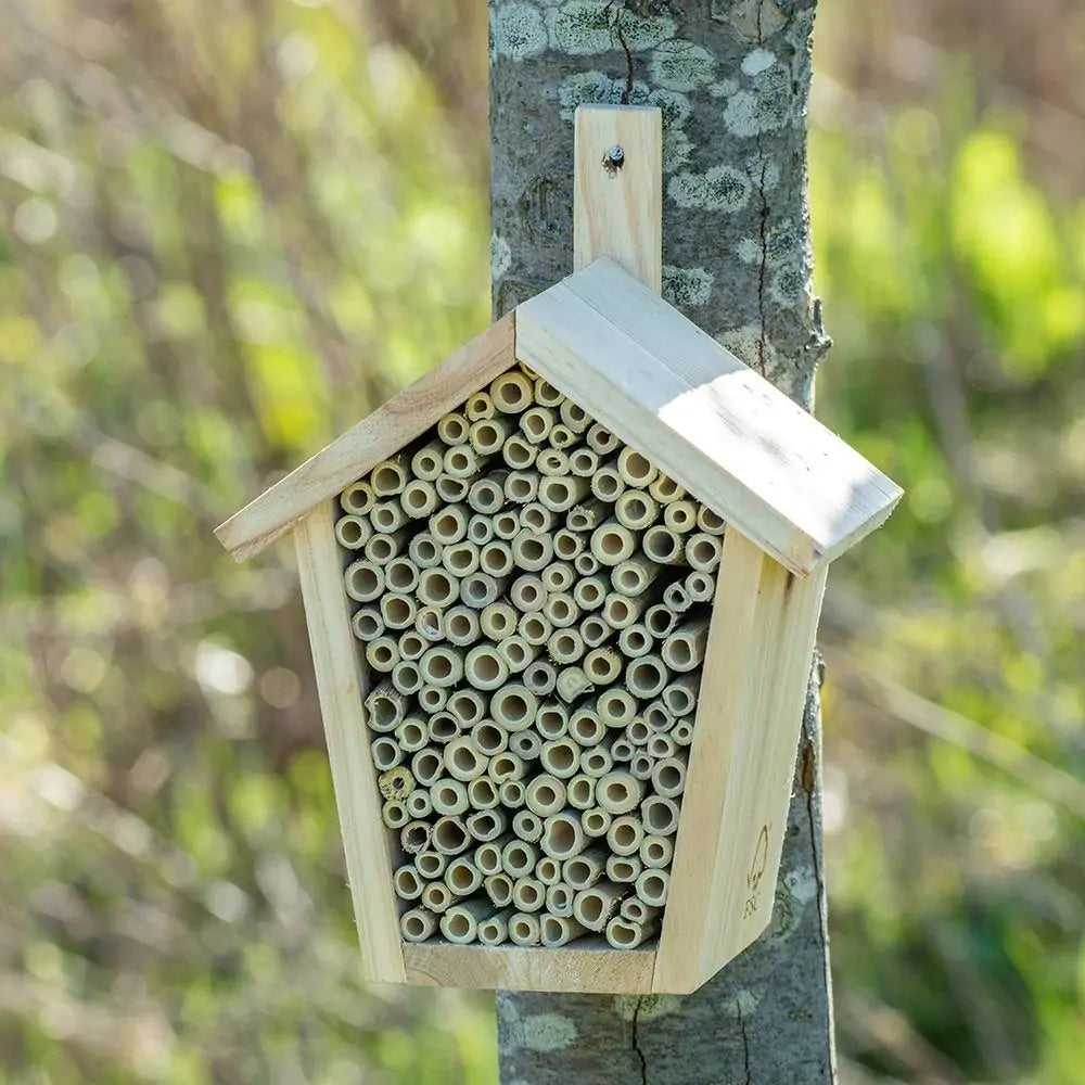 Insectenhuis, bijenhotel Pinta voor solitaire bijen, hout, bamboo, bijenhuis