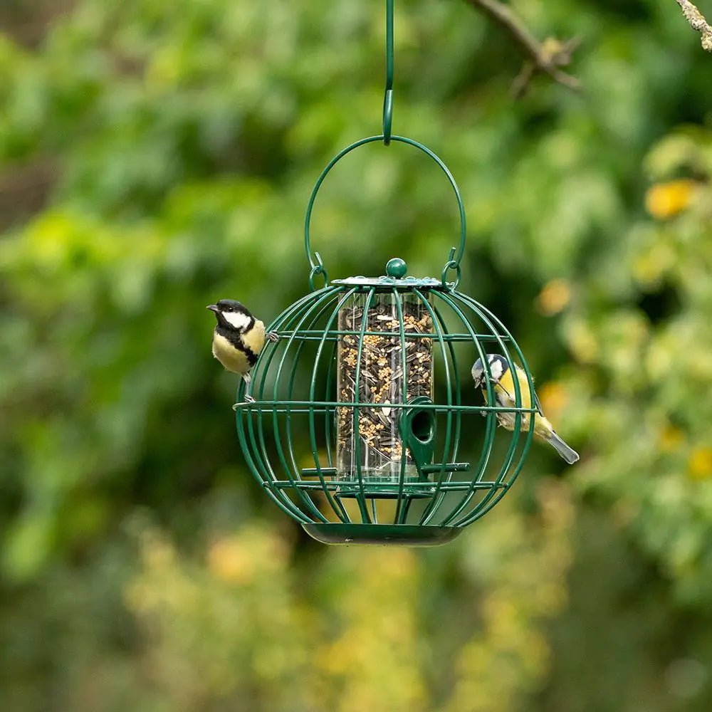 London Voedersilo voor kleine vogels met beschermkooi