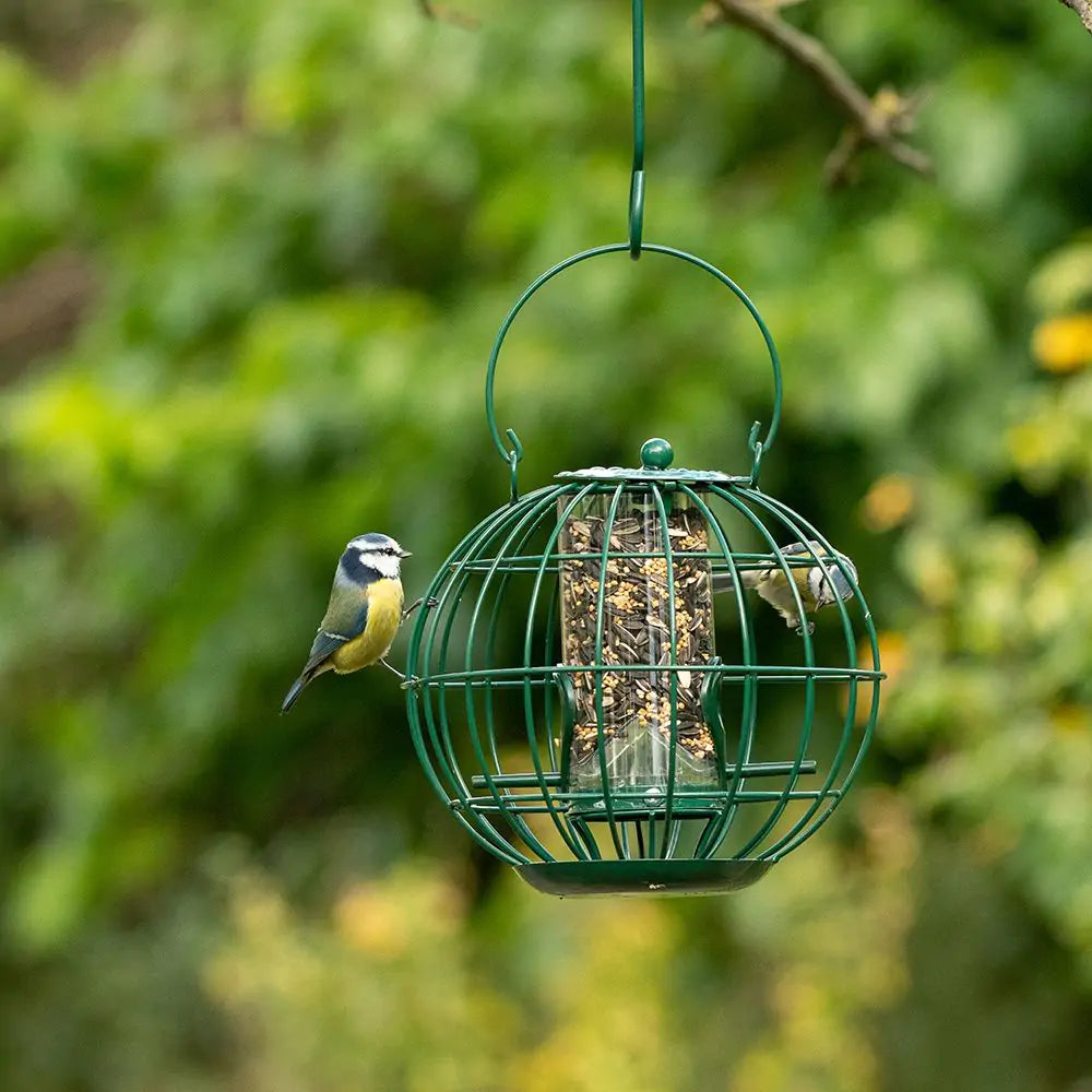 London Voedersilo voor kleine vogels met beschermkooi