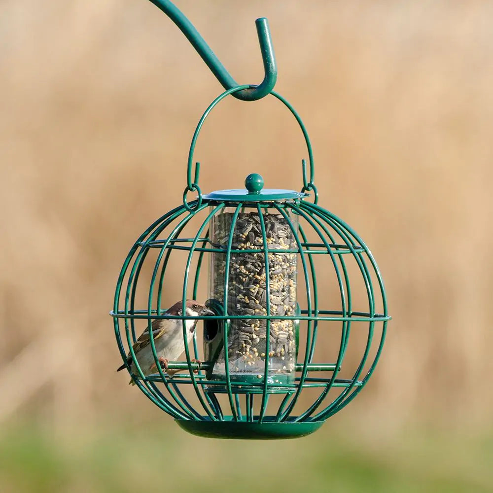 London Voedersilo voor kleine vogels met beschermkooi