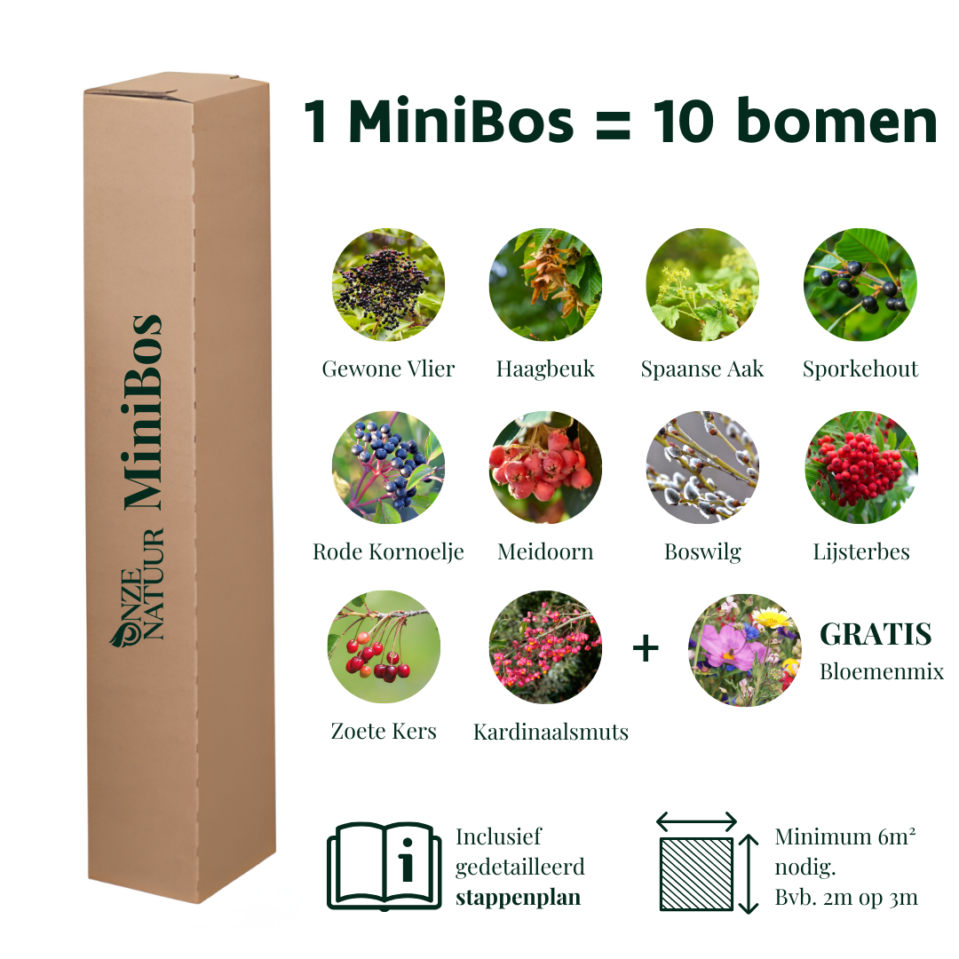 Mini Bos (door Onze Natuur)