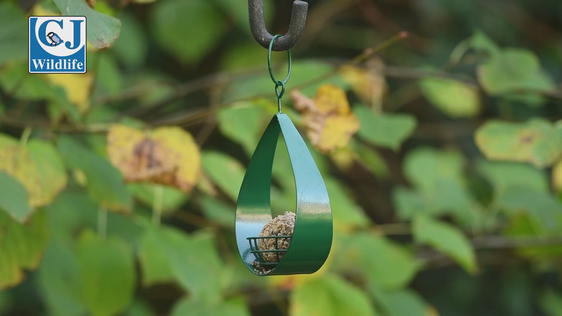 6 Vetbollen Voor Vogels met insecten, Mezenbollen zonder net