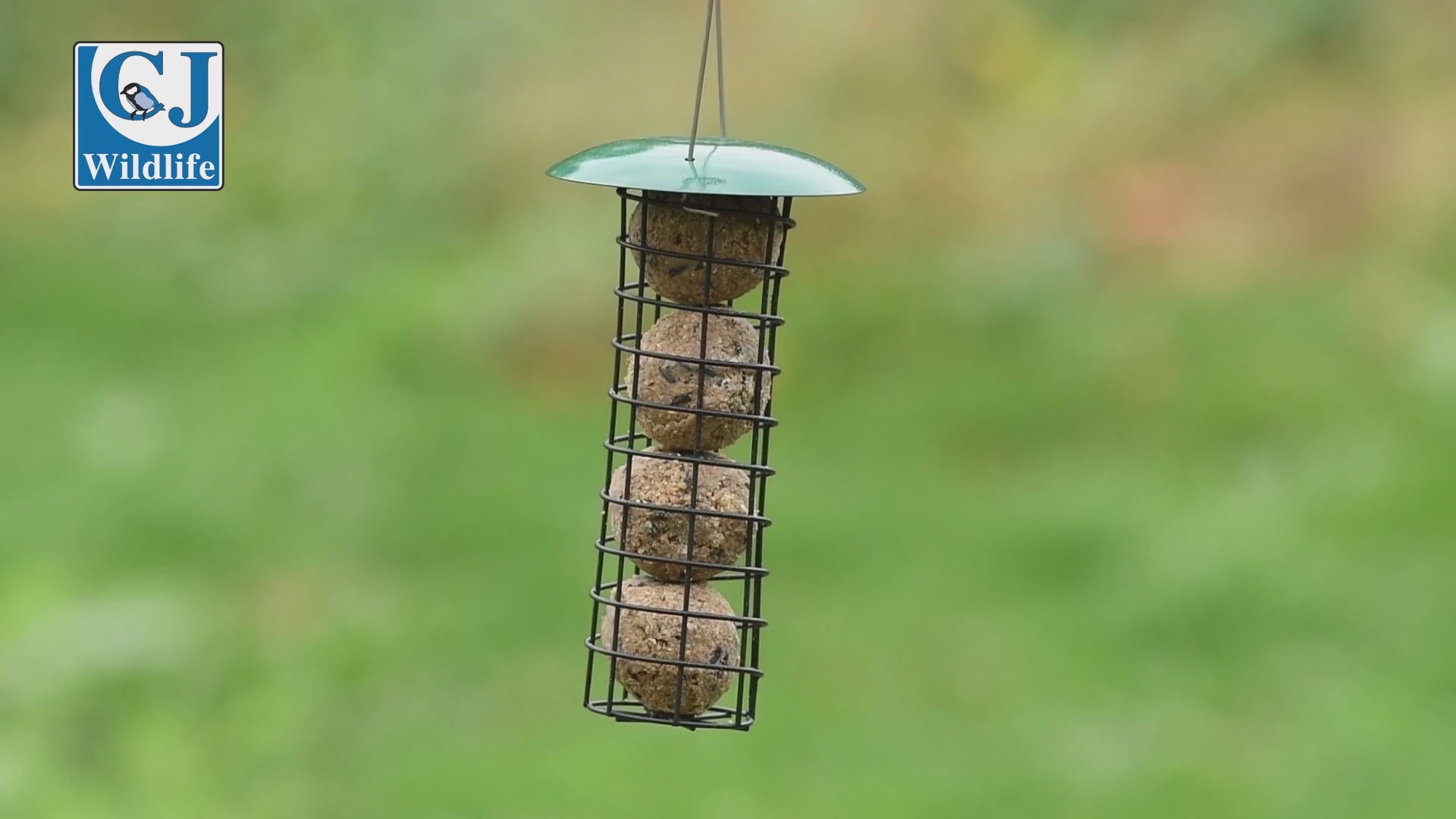 6 Vetbollen Voor Vogels met insecten, Mezenbollen zonder net