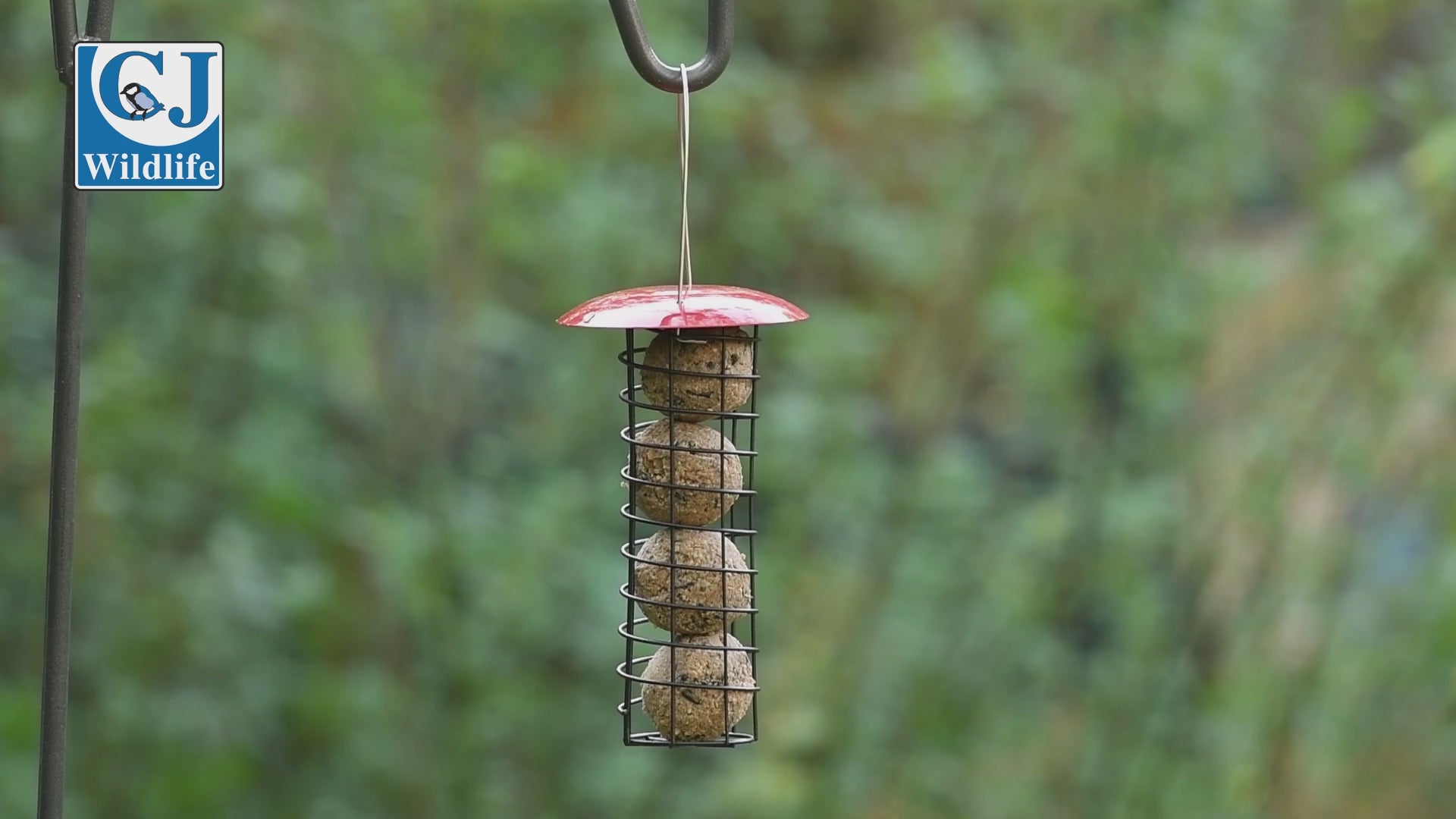 6 Vetbollen Voor Vogels, Mezenbollen zonder net